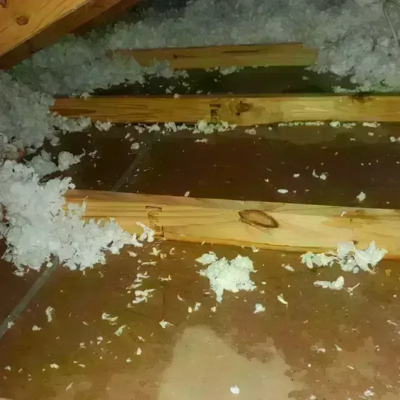 Attic Water Damage in Rialto, CA