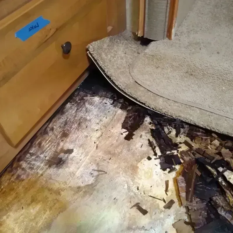 Wood Floor Water Damage in Rialto, CA